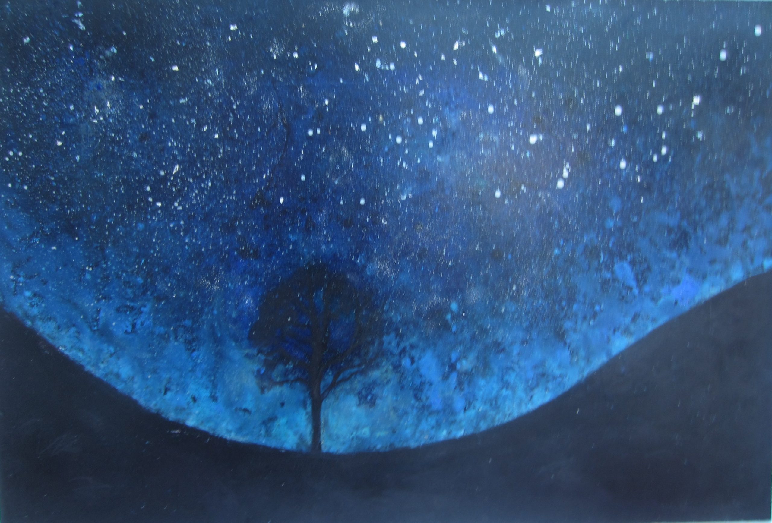 Tree, Starlight